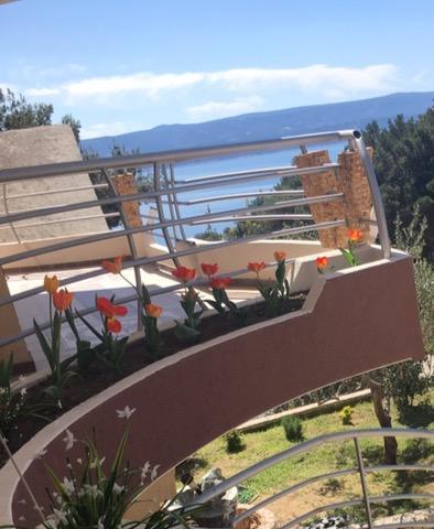 Villa Perkovic ミミツェ エクステリア 写真